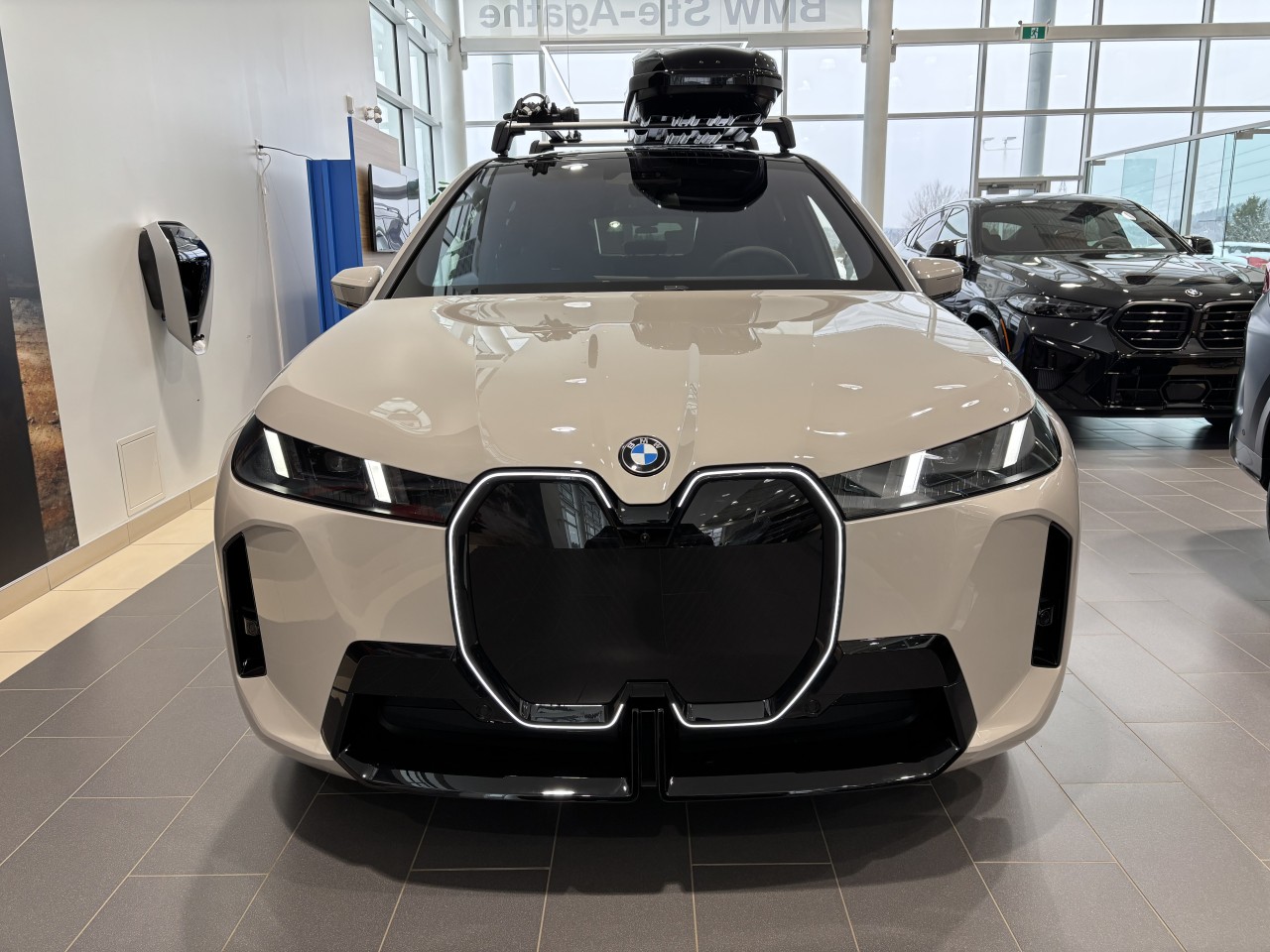 2026 BMW iX - Image 10