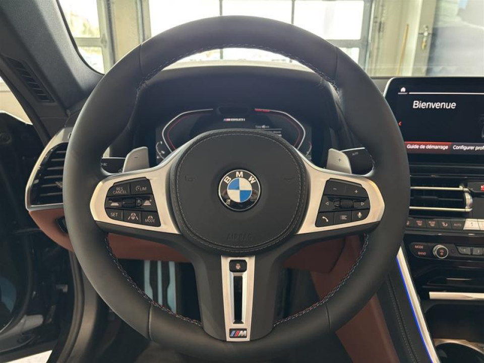 2026 BMW 8 Series - Image 19