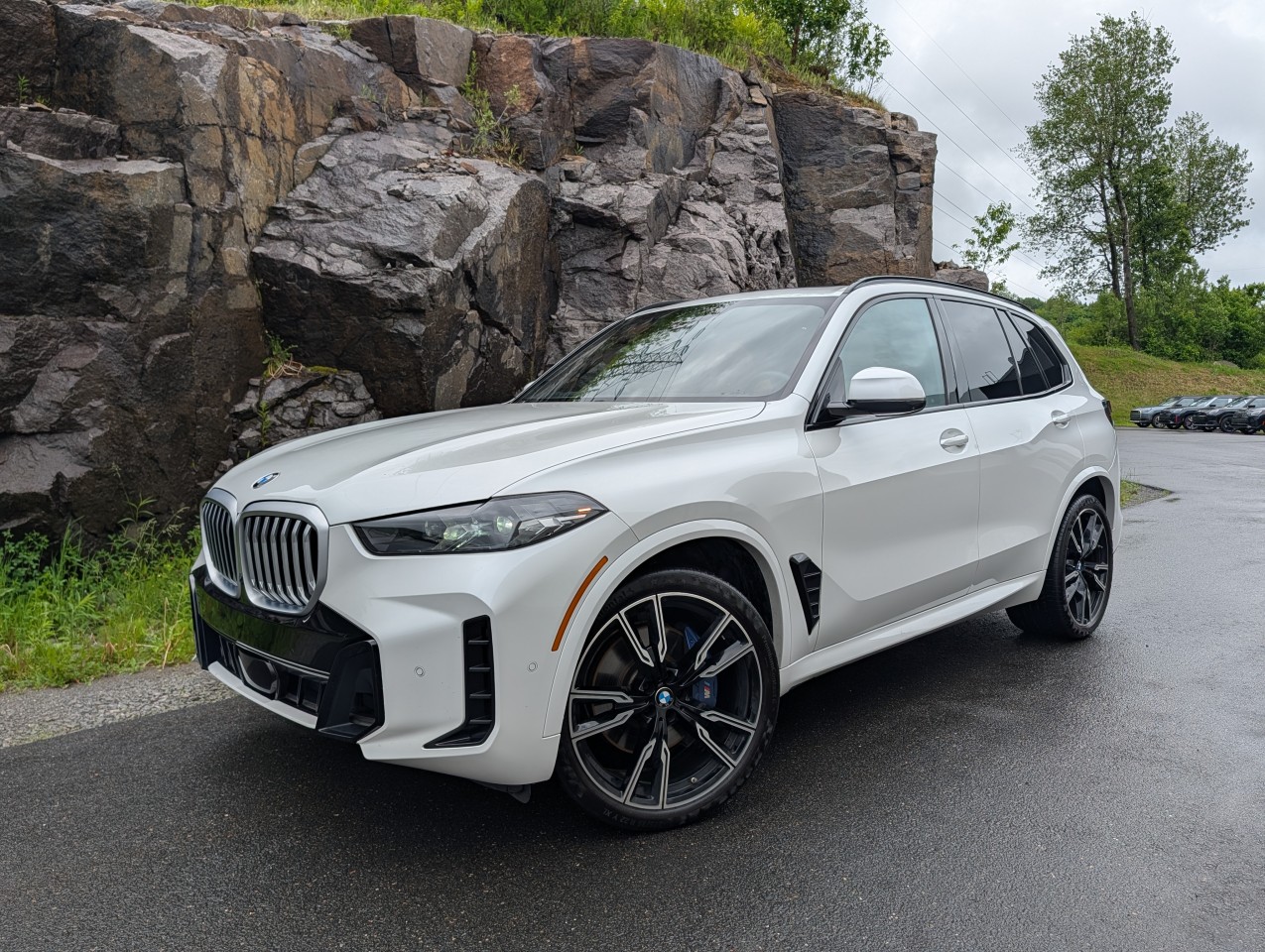 2024 BMW X5 - Image 1