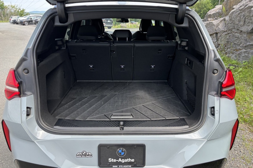 2025 BMW X3 - Image 6